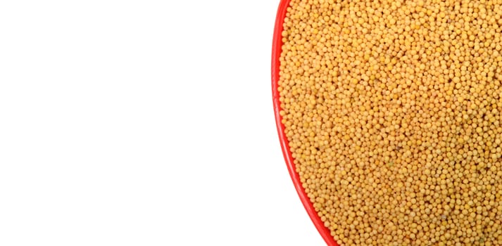 yellow mustard seeds in red bowl isolated on white background