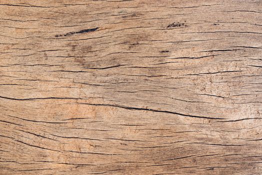 Old wood board, copy space wooden texture pattern background