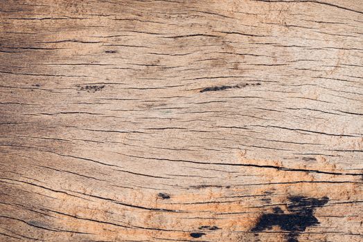 Old wood board, copy space wooden texture pattern background