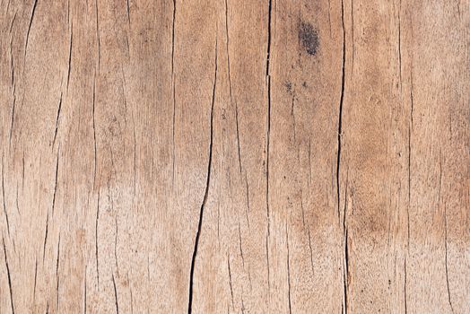 Old wood board, copy space wooden texture pattern background