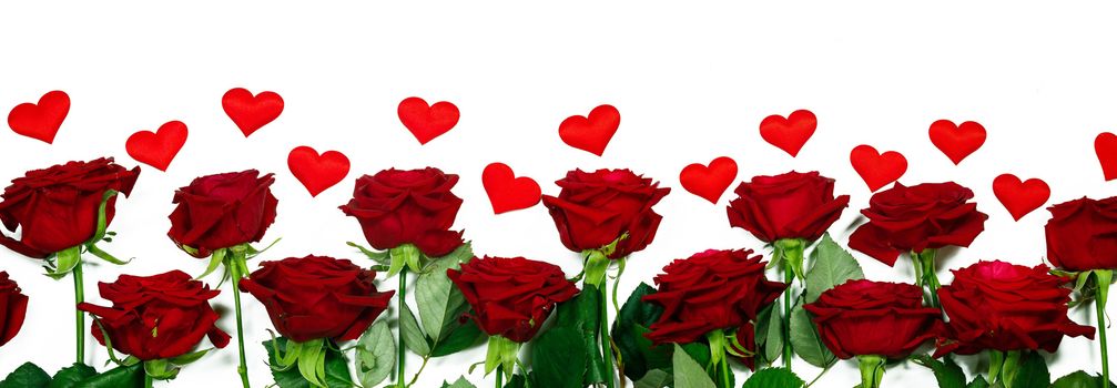 Red roses and the paper hearts border frame isolated on white background, Valentine's Day