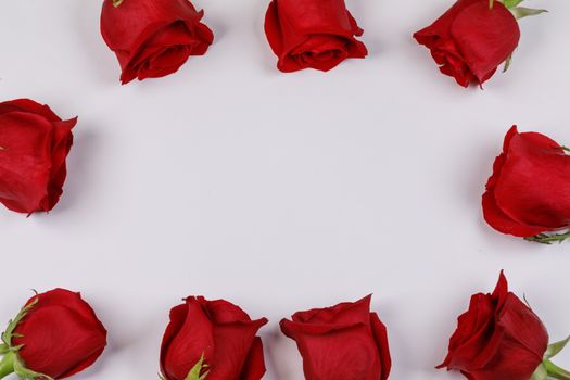 Red rose flowers frame composition on white background top view with copy space. Valentine's day, birthday, wedding, Mother's day concept. Copy space