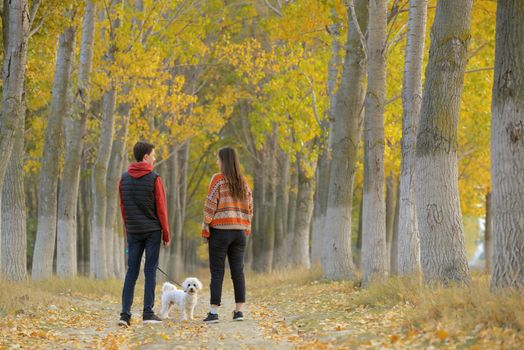 Young boy and girl with maltese dog in autumn forest