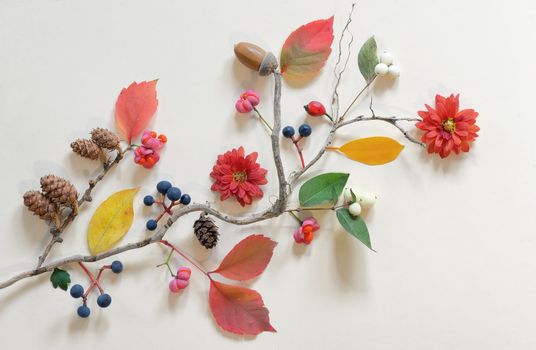 Autumn flat lay with various beautiful flowers and leaves