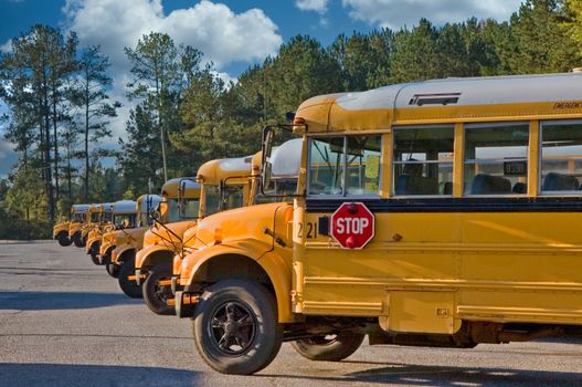 Many school buses lined up in a parking lot