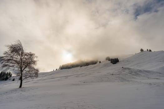 Wonderful winter hike from Restaurant Eggli over the Forstseeli and Diepoldsauer sponge to the Fähnerenspitz in the Appenzeller Land in Switzerland