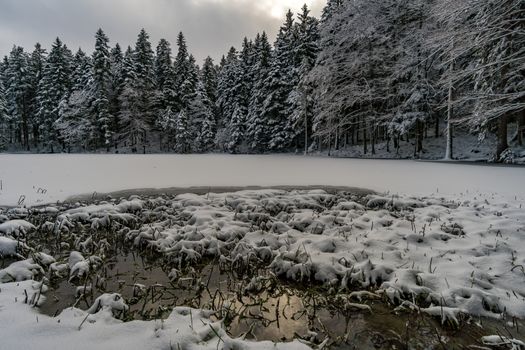 Wonderful winter hike from Restaurant Eggli over the Forstseeli and Diepoldsauer sponge to the Fähnerenspitz in the Appenzeller Land in Switzerland