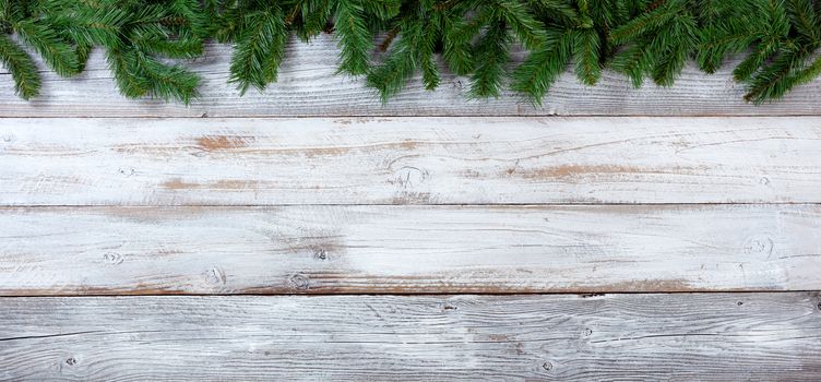 Top border of Christmas evergreen branches on white vintage wood