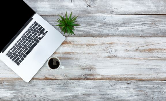 Overhead view of desktop with baby plant and coffee plus plenty of copy space 