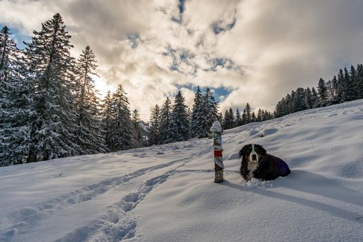 Wonderful winter hike from Restaurant Eggli over the Forstseeli and Diepoldsauer sponge to the Fähnerenspitz in the Appenzeller Land in Switzerland