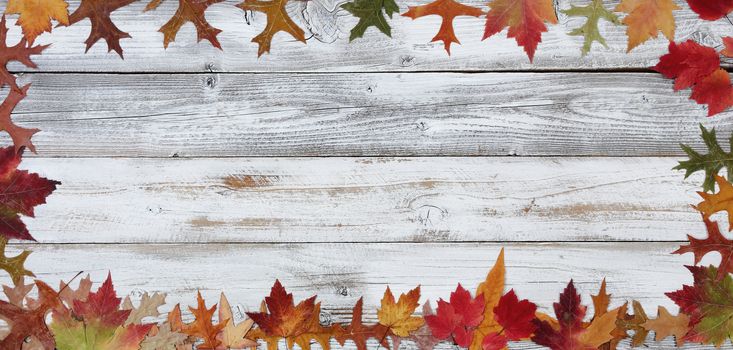 Autumn decorations made of leaves in rectangle border on white rustic wood for Thanksgiving or Halloween season