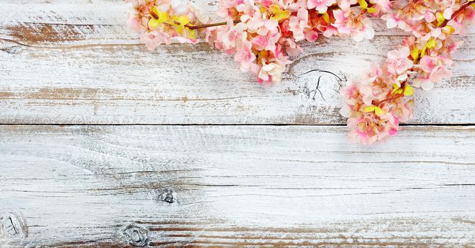 Overhead view of cherry blossom flowers in upper right corner on white vintage wood for spring time concept