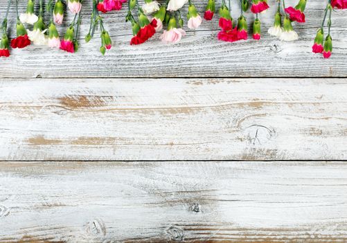 Colorful carnations and gift forming top border on white weathered wooden boards 