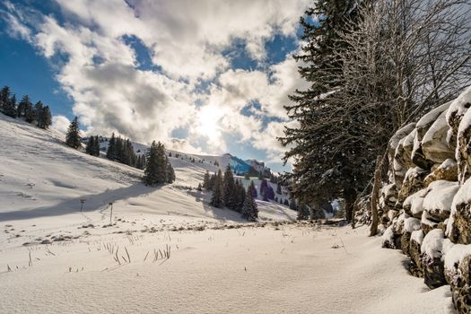 Wonderful winter hike from Restaurant Eggli over the Forstseeli and Diepoldsauer sponge to the Fähnerenspitz in the Appenzeller Land in Switzerland