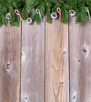 Christmas holiday wooden background with fir branches and candy canes. 