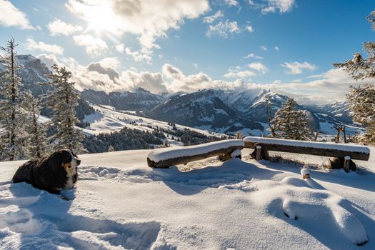 Wonderful winter hike from Restaurant Eggli over the Forstseeli and Diepoldsauer sponge to the Fähnerenspitz in the Appenzeller Land in Switzerland