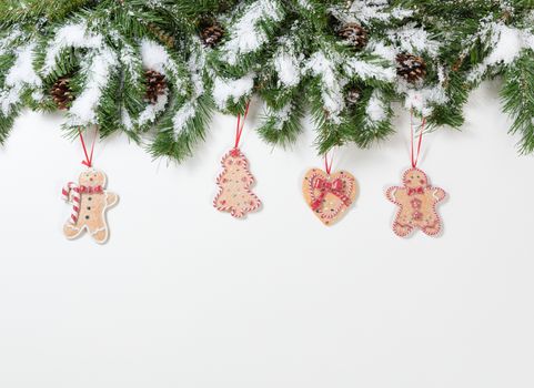 Snowy Christmas cookie ornaments hanging in fir tree branches 