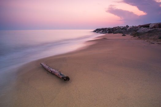 Wood branch on a sandy beach on twilight sunset time. Long Exposure Photography