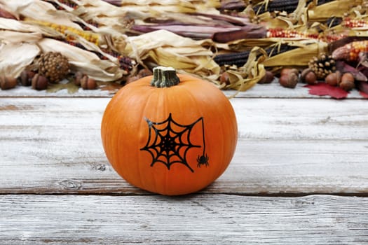 Decorated pumpkin for Halloween Autumn holiday concept with corn, leaves and acorns in background 