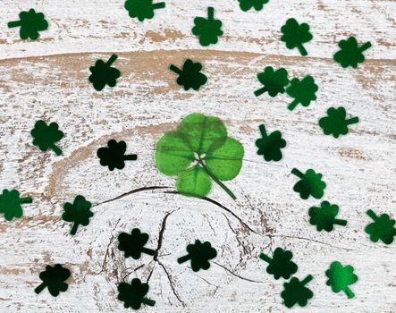 Real four leaf clover with shiny clovers on rustic wooden boards in overhead view  