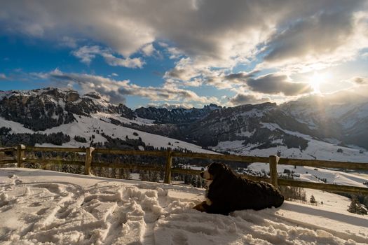 Wonderful winter hike from Restaurant Eggli over the Forstseeli and Diepoldsauer sponge to the Fähnerenspitz in the Appenzeller Land in Switzerland