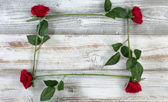 Red roses forming square on rustic white wood for Spring Holiday Background 