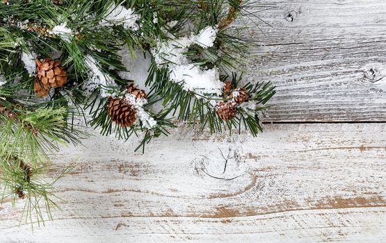 Christmas rough fir tree branches and snow on rustic white wooden background