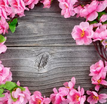 Overhead view of silk cherry blossom branches forming circle border on vintage wood for spring time