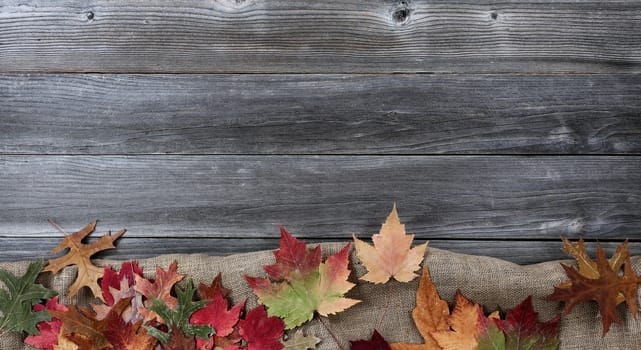 Autumn leaves with burlap cloth forming bottom border on weathered wood  