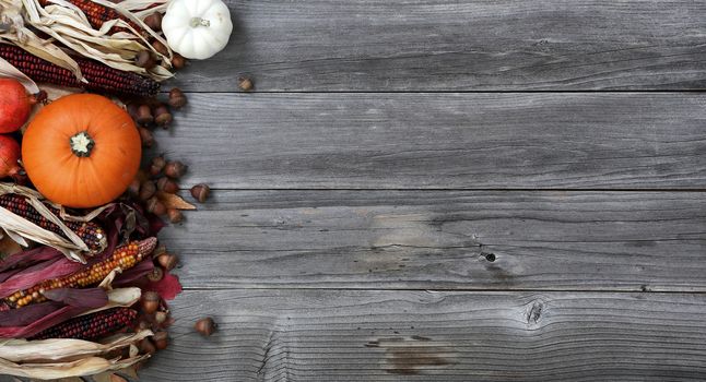 Pumpkin, gourd, leaves, corn and acorns on left border of weathered wood for the Autumn holiday season