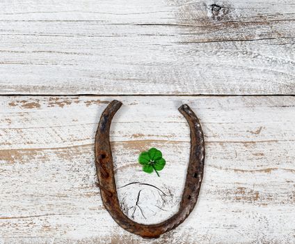 Real four leaf clover in the middle of rusty horseshoe on rustic wooden boards in overhead view  