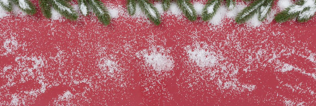 Seasonal Christmas fir tips covered with snow on red background 