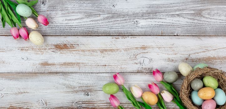 Spring season tulips and colorful eggs on rustic wooden boards for Easter holiday background 