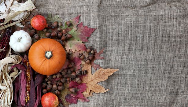 Thanksgiving Pumpkin with acorns and corn on burlap cloth 