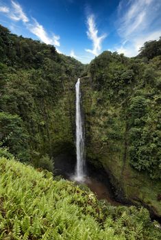 Scenic Akaka falls in Hawaii of United States 