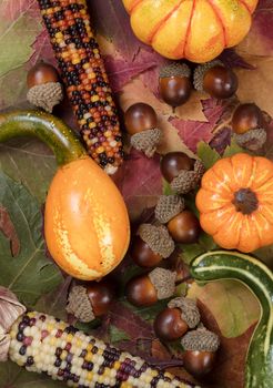 Vertical filled frame of Autumn foliage with gourds, corns and acorns for Thanksgiving and fall background