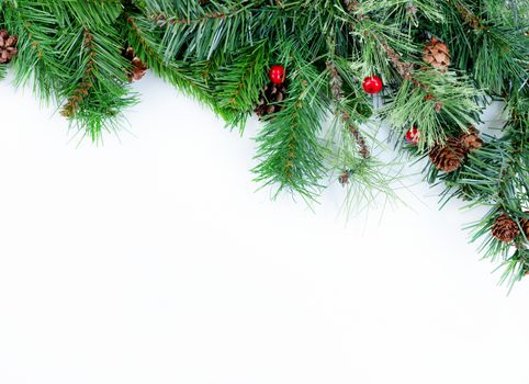 Christmas tree evergreen branches on white background 