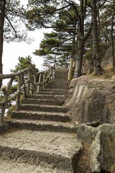 Long staircase going upward into Yellow Mountain park with trees and sky in background 