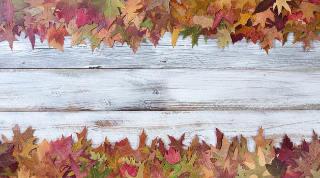 Seasonal Autumn leaf decorations in upper and lower borders on rustic white wooden boards 