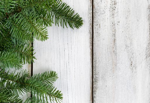 Real Nobel Fir tree branches on rustic white wooden boards. Christmas season concept.