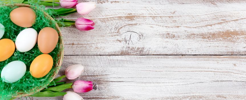 colorful real eggs on artificial green grass in basket with tulips for Easter Background 