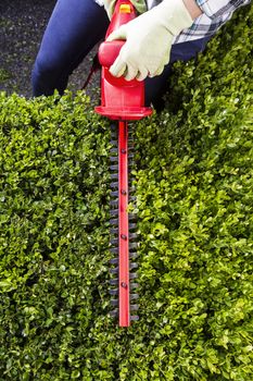 Vertical photo of female hands, wearing gloves, trimming the hedges via large electrical shears with concrete patio in background 