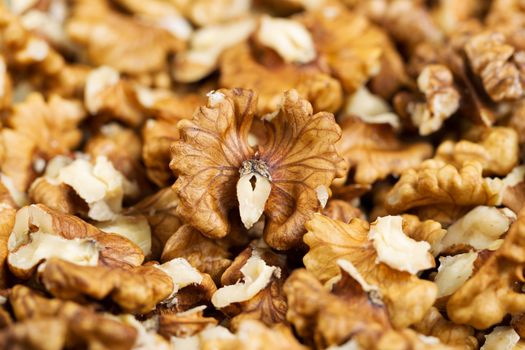 Close up horizontal photo of unshelled walnuts with focus on single half piece in center of frame 