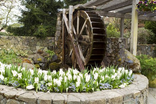 Old water mill with water running into flower pond