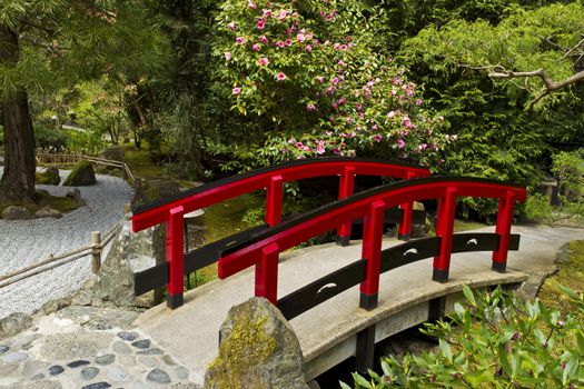 Red bridge in Japanese Garden 