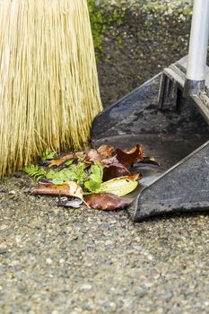 Vertical photo of broom and dusk pan gathering weeds on sidewalk with focus on leaves  