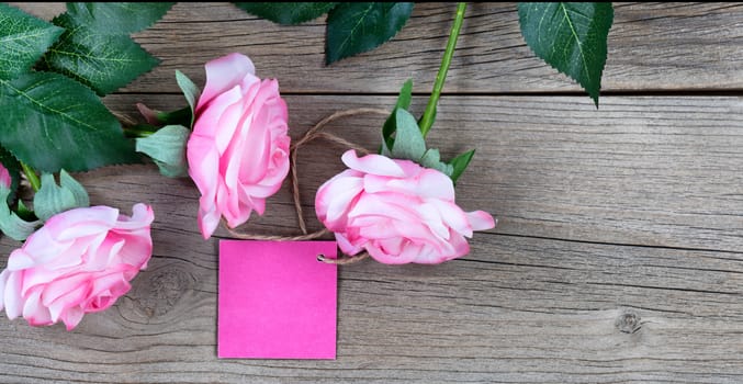 pink roses with gift tag on weathered wooden boards 