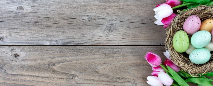 Natural bird nest with colorful eggs and tulips on weathered wood 