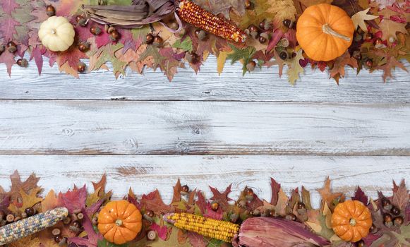 Seasonal Autumn decorations in upper and lower borders on rustic white wooden boards 