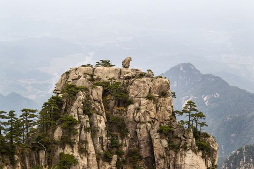 Natural Monkey Stone Statue within Yellow Mountain National Park in China 